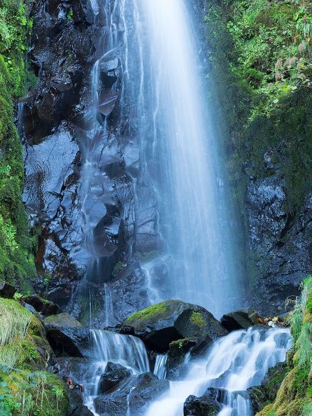 Wild, Jamie and Judy 아티스트의 Oregon-Columbia River Gorge National Scenic Area-Warren Creek-at Hole in the Wall Falls작품입니다.